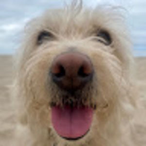 Meet your Posher, Chelsea